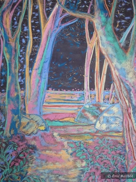 Forêt de Paimpont