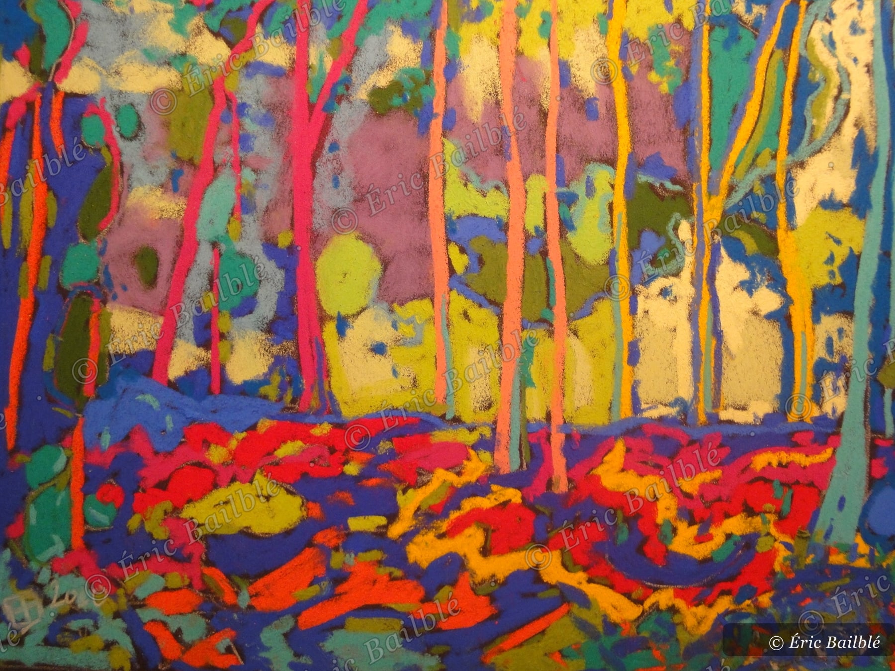 Forêt landaise, pays de Buch